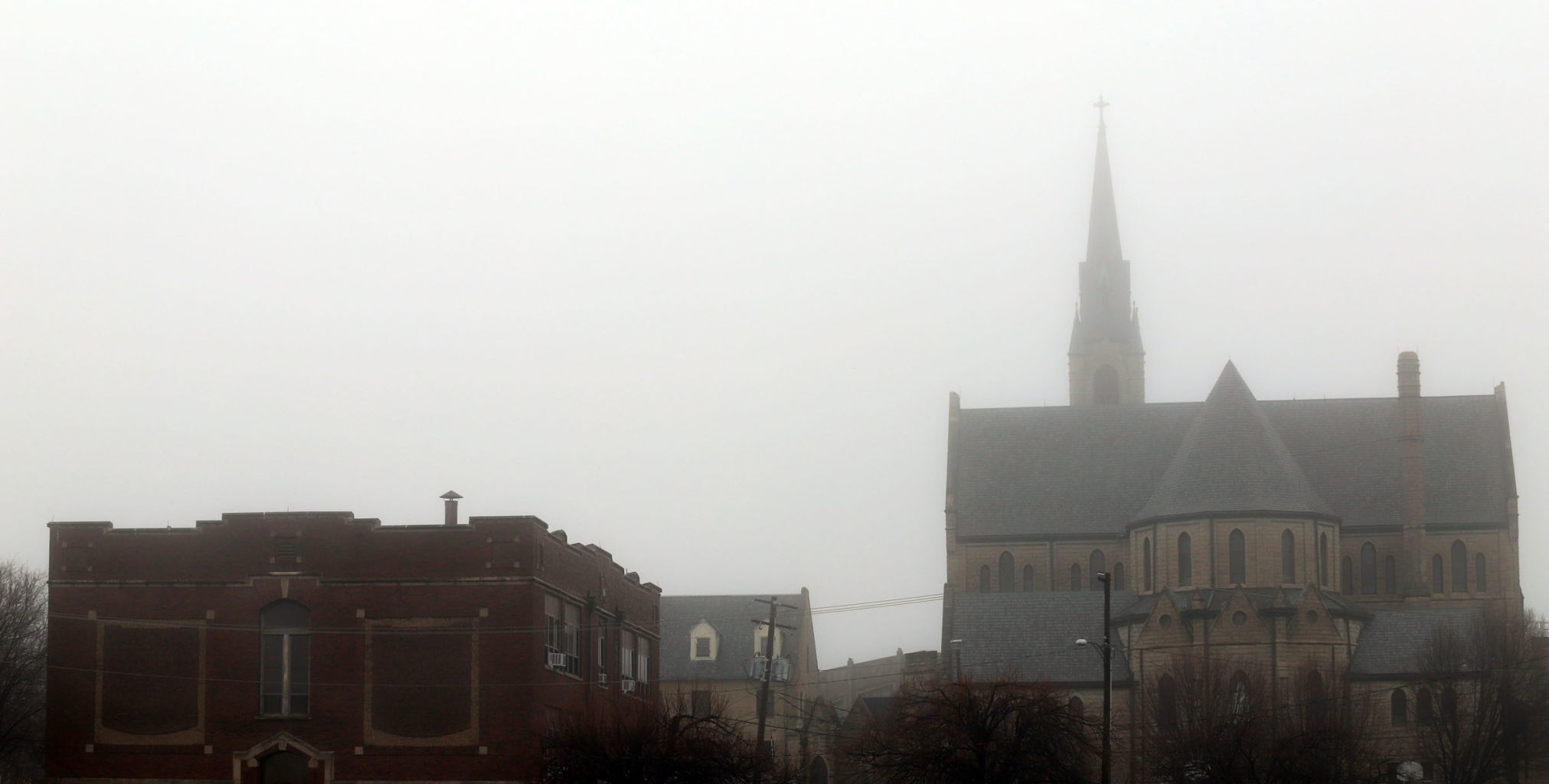 Fog 5 2.7.19.jpg